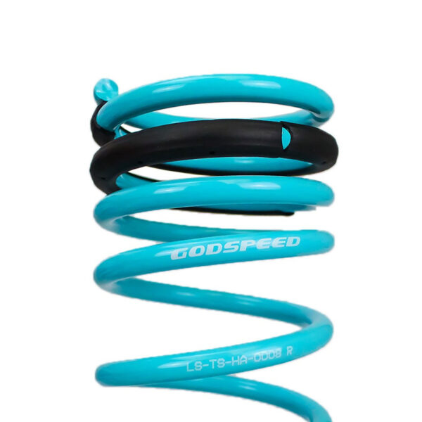 Godspeed Traction-S Lowering Springs