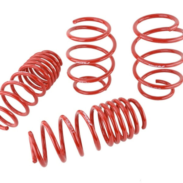 Skunk2 16-21 Honda Civic Lowering Springs (1.375in - 1.25in) (Set of 4)